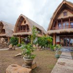 Thatched Roofs Dot Idyllic Cute African Rural